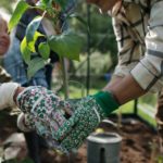 Ortoterapia - Quando il Giardinaggio Diventa Cura