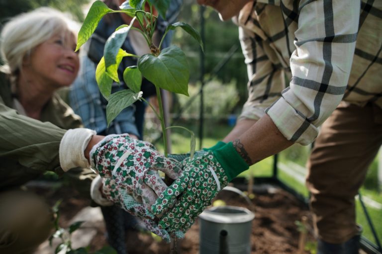 Ortoterapia - Quando il Giardinaggio Diventa Cura